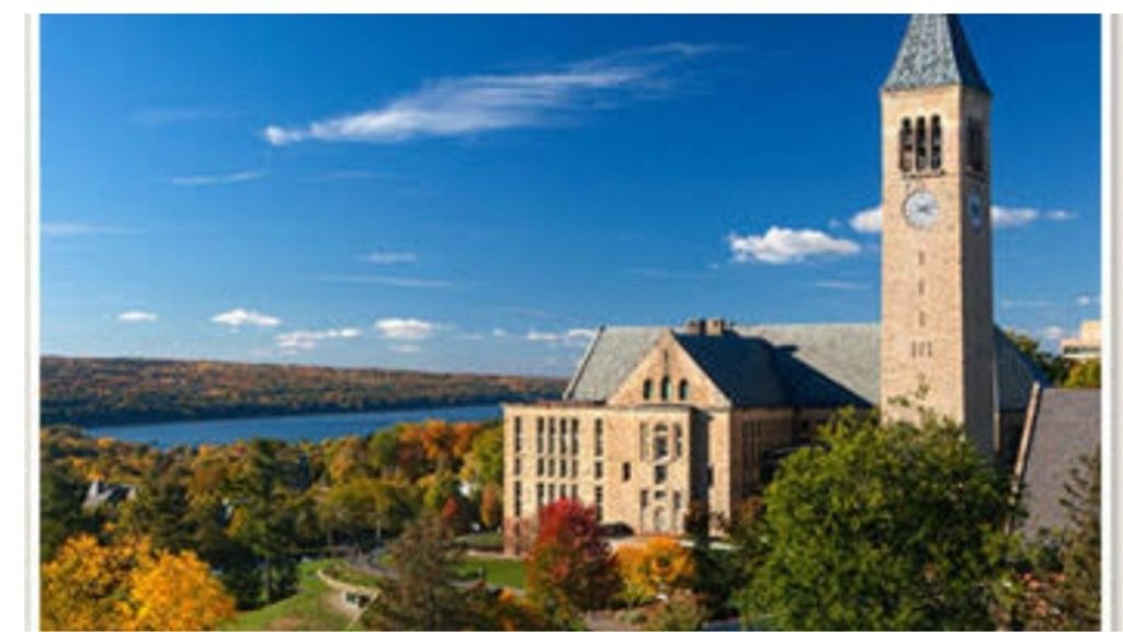 Top 5 Best Universities in New York you should apply now! USA Newshour